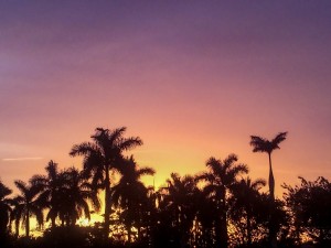 Sunset